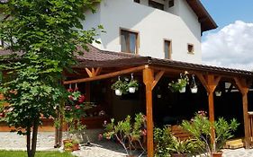 Casa De Vacanta Macovei0744